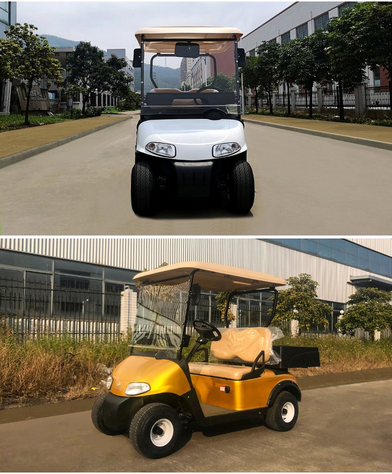 G2-1電動高爾夫觀光車看房四輪巡邏車電瓶貨運載(圖9)