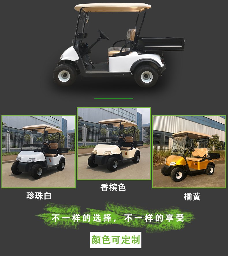 G2-1電動高爾夫觀光車看房四輪巡邏車電瓶貨運載(圖5)